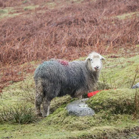 Little Barn בית נופש Grange-over-Sands